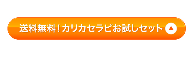 お試しセット