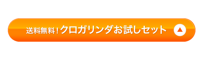 お試しセット