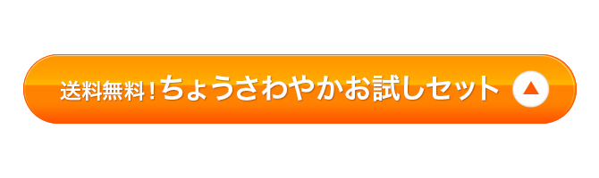 お試しセット