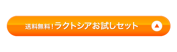 お試しセット