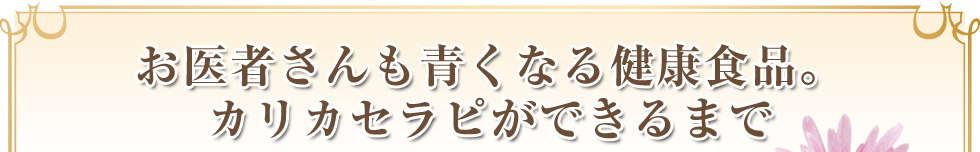カリカセラピ Saido Ps 501 お得なお試しセットのご案内