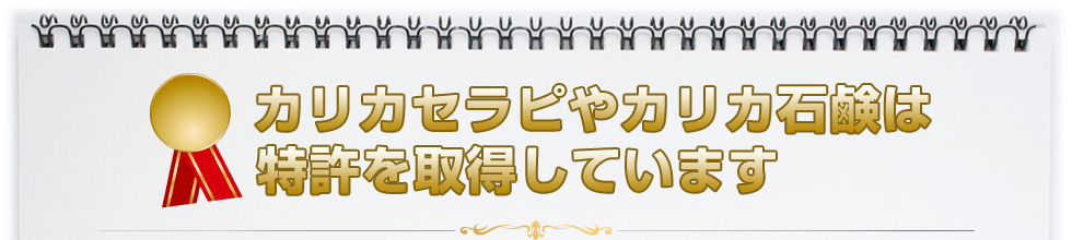 カリカセラピ Saido Ps 501 お得なお試しセットのご案内