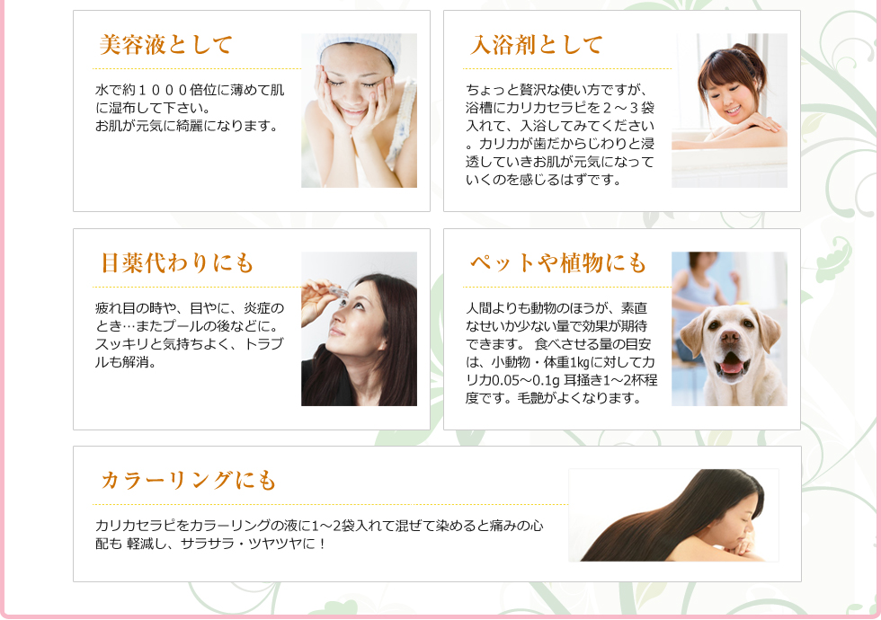 カリカセラピ Saido Ps 501 お得なお試しセットのご案内