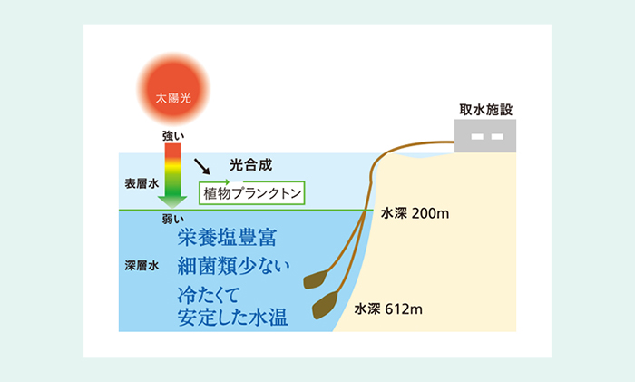 てぃだの生塩