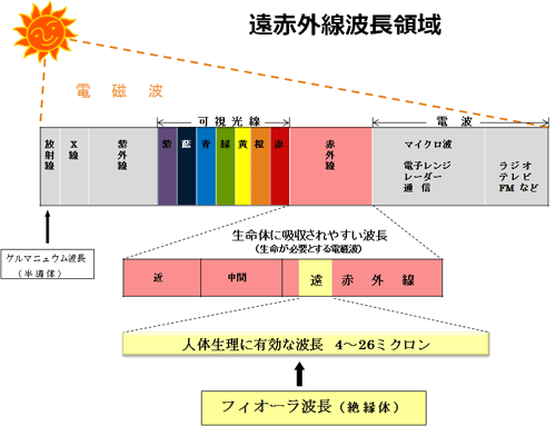 効率よく遠赤外線を放出する「フィオーラ」