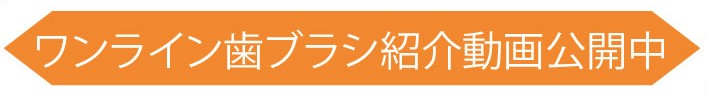 歯臓 磨き方