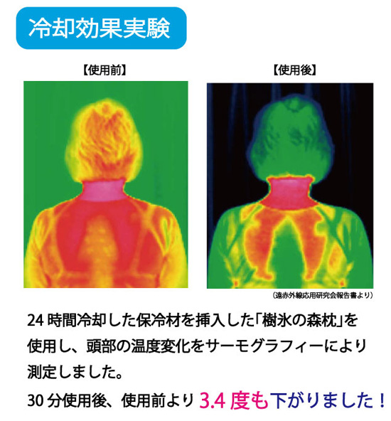 体温の違いはこんなに！