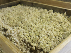 大黒のこだわり醤油　糀