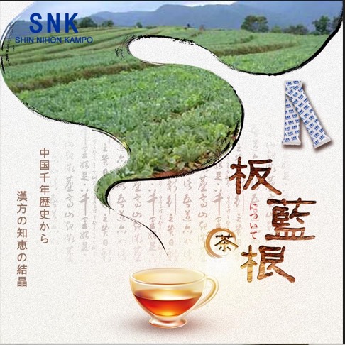 板藍根茶