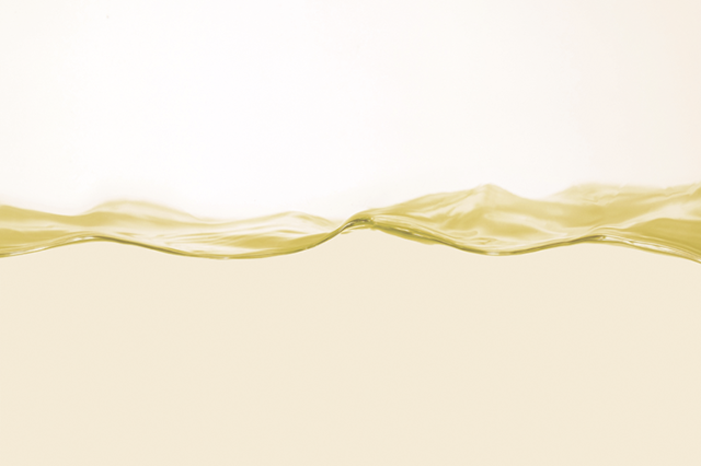 EM　植物酵素シロップ　ミクスロップ