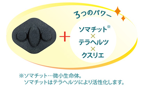 丸山　ガイアスチップ