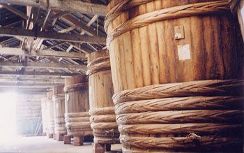 オーガニックたまり